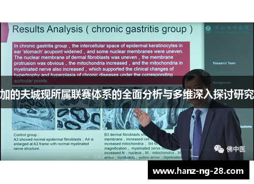 加的夫城现所属联赛体系的全面分析与多维深入探讨研究 加的夫城现所属联赛体系的全面分析与多维深入探讨研究