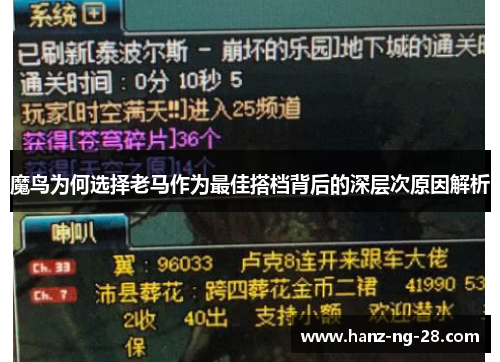 魔鸟为何选择老马作为最佳搭档背后的深层次原因解析